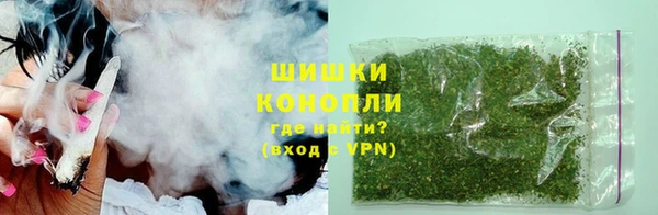 шишки Козловка