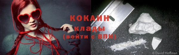 шишки Козловка