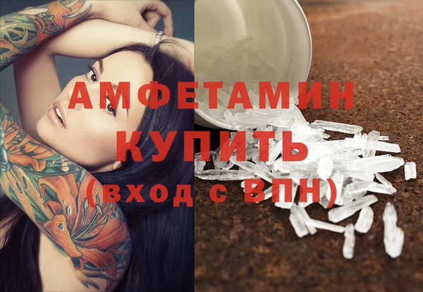 шишки Козловка
