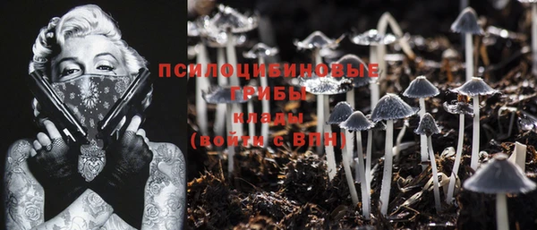 шишки Козловка