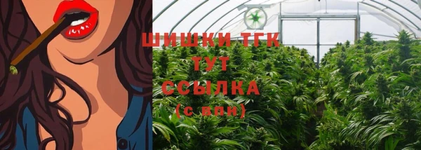 шишки Козловка