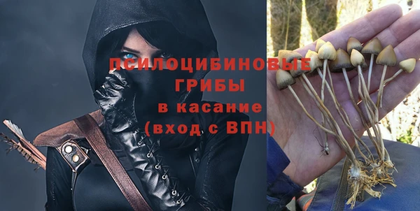 мяу мяу мука Козельск