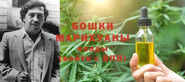 шишки Козловка