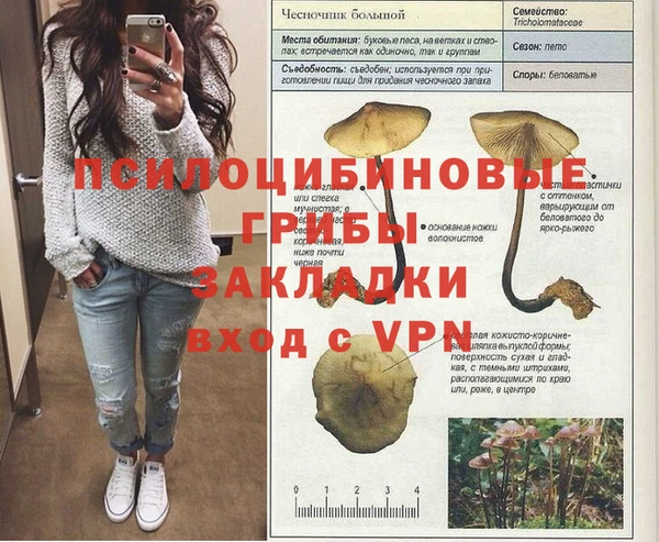 мяу мяу мука Козельск