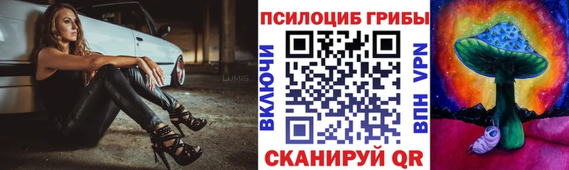 Галлюциногенные грибы GOLDEN TEACHER  Купить  Княгинино 